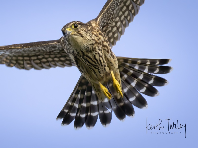 240920-2239-merlin-take-off