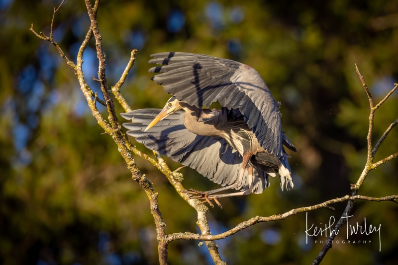 230315-6684-ghb-landing