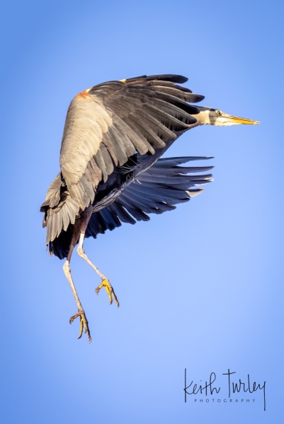230315-7082-ghb-landing