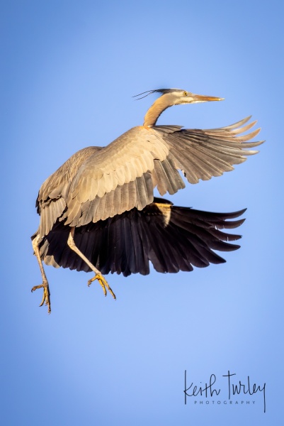 230315-7087-ghb-landing