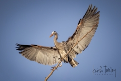 230315-7011-ghb-landing