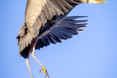 230315-7082-ghb-landing
