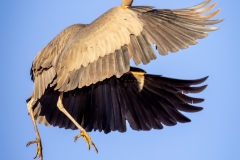 230315-7087-ghb-landing