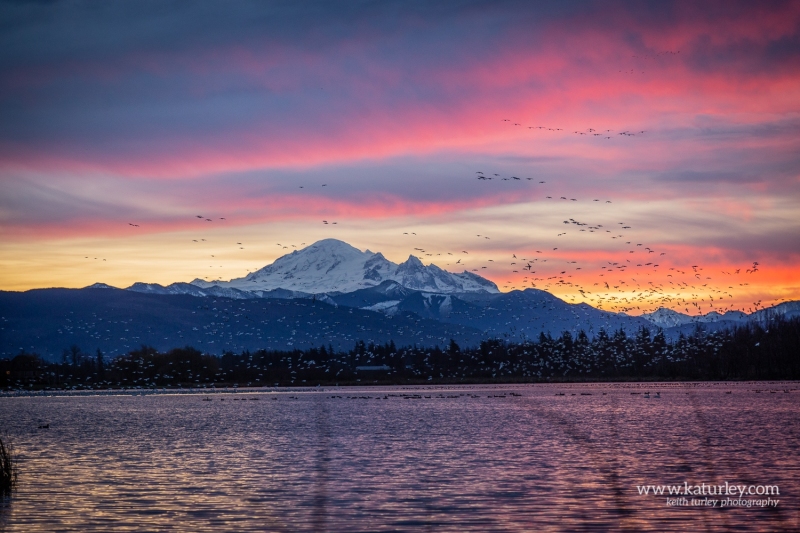 201122-1060-wiser-lake-geese-sunrise