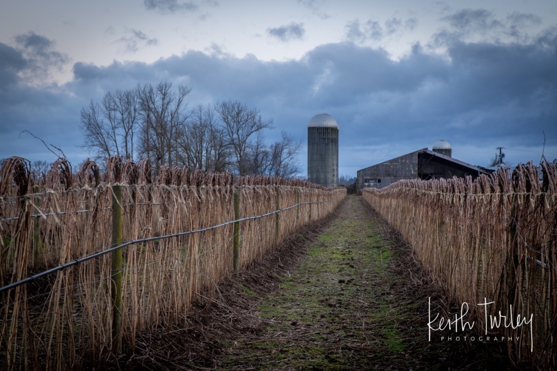 210207-4708-wiser-lake-barn