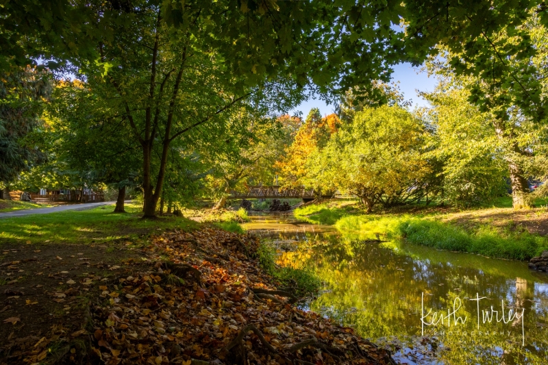 231012-8366-lynden-city-park