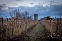 210207-4708-wiser-lake-barn