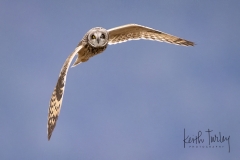 230227-7644-seo-flying-one-eye-closed