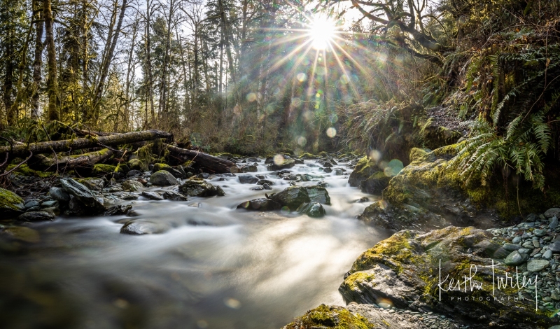 230316-8396-otoole-creek-pano