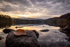 220928-3033-padden-sunrise-leaf