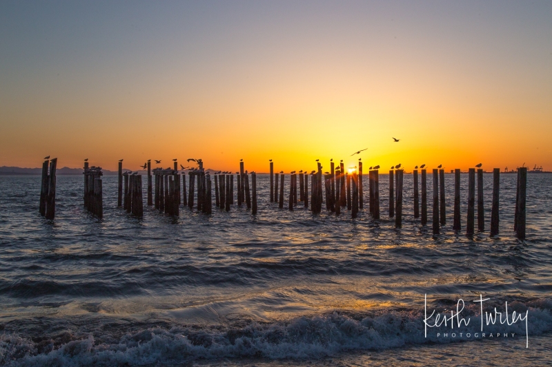Gathering at Sunset