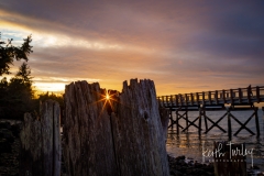 210119-8332-boulevard-sunset