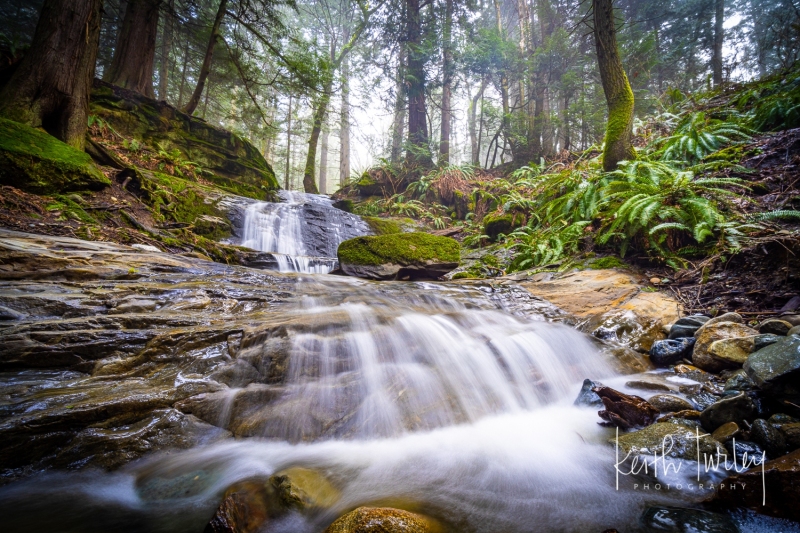 Clayton Falls - 4656