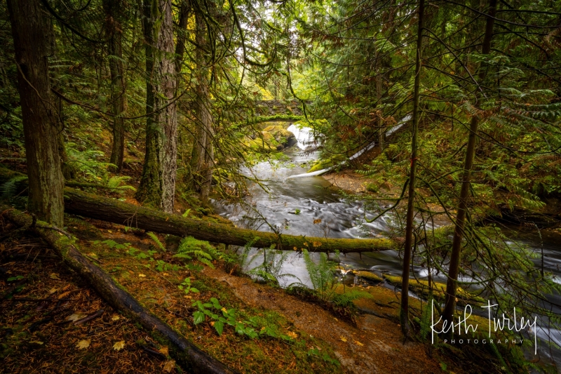 Whatcom Falls Park - 8296